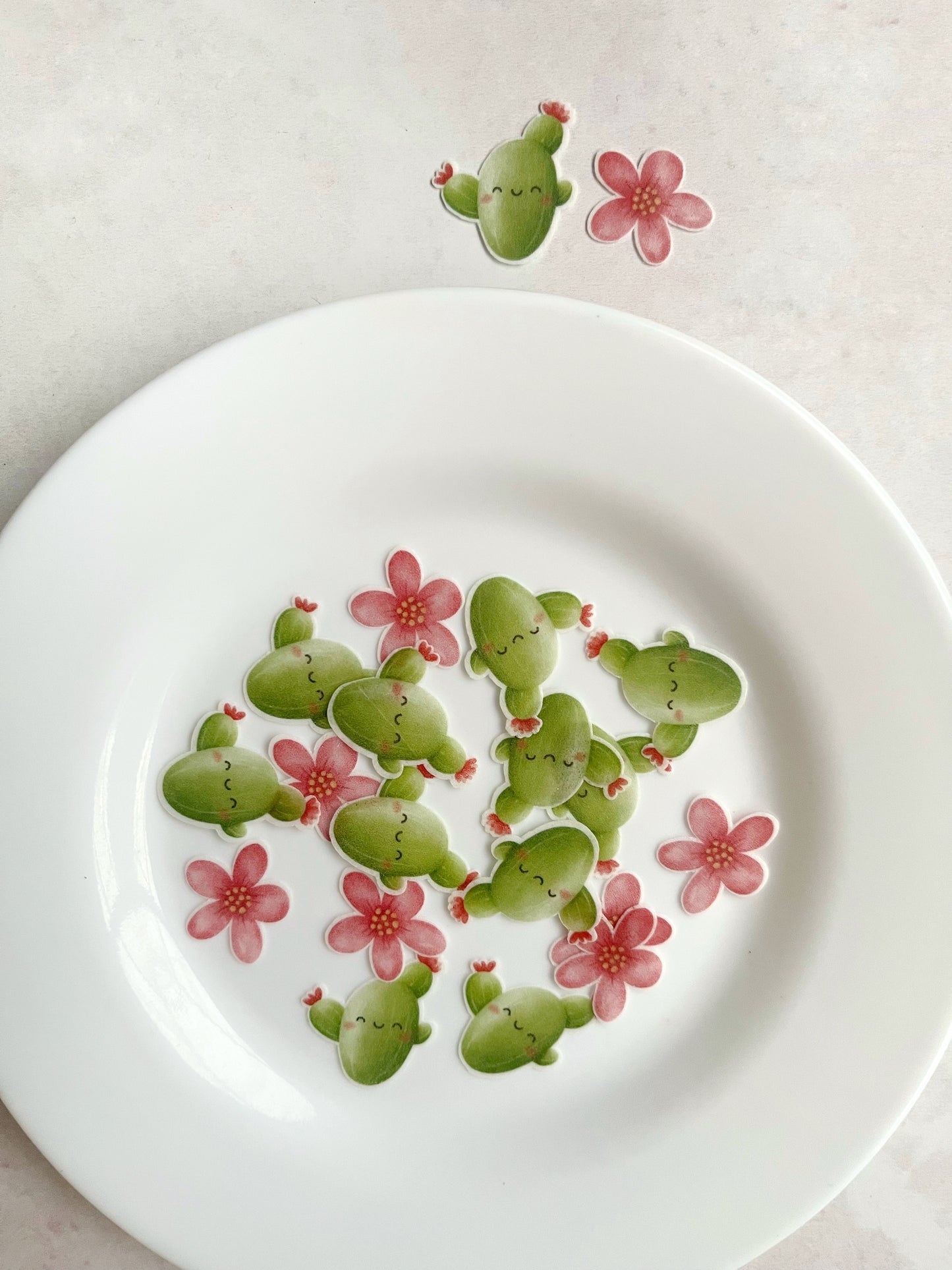 Cáctus con flor • 24u