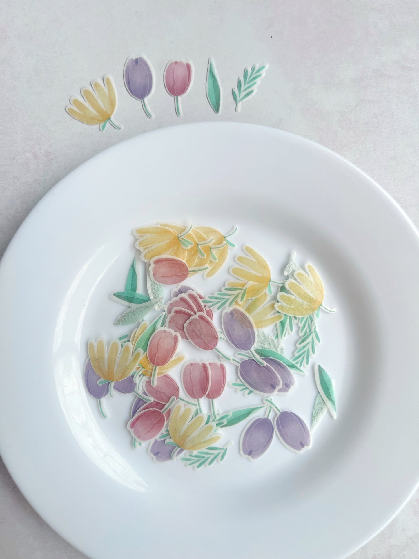 Tulipanes • 40u