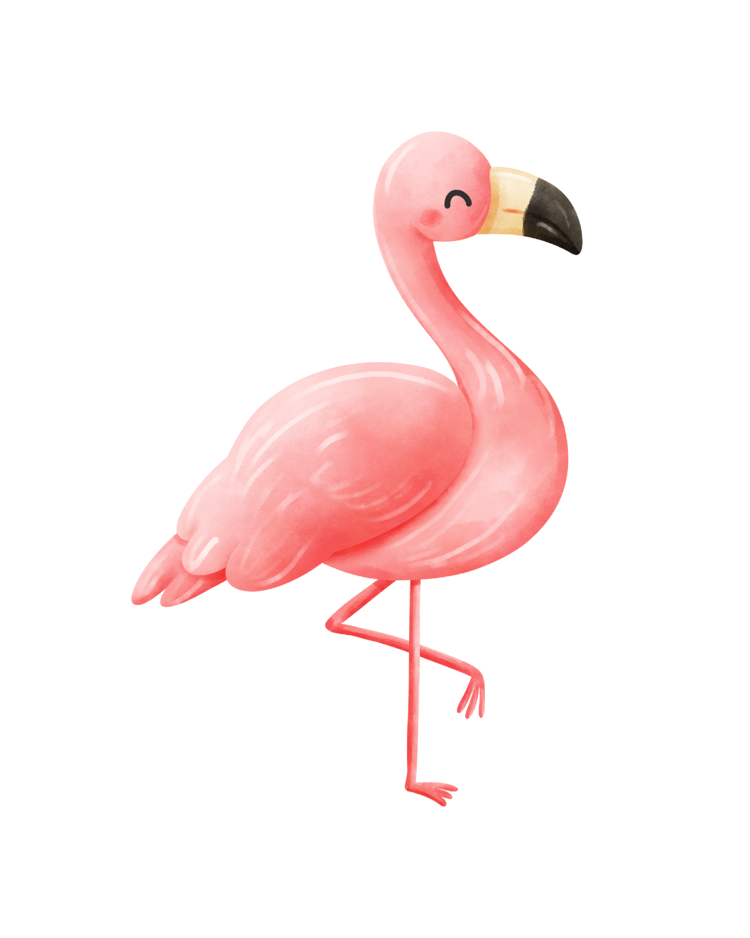 Flamingos