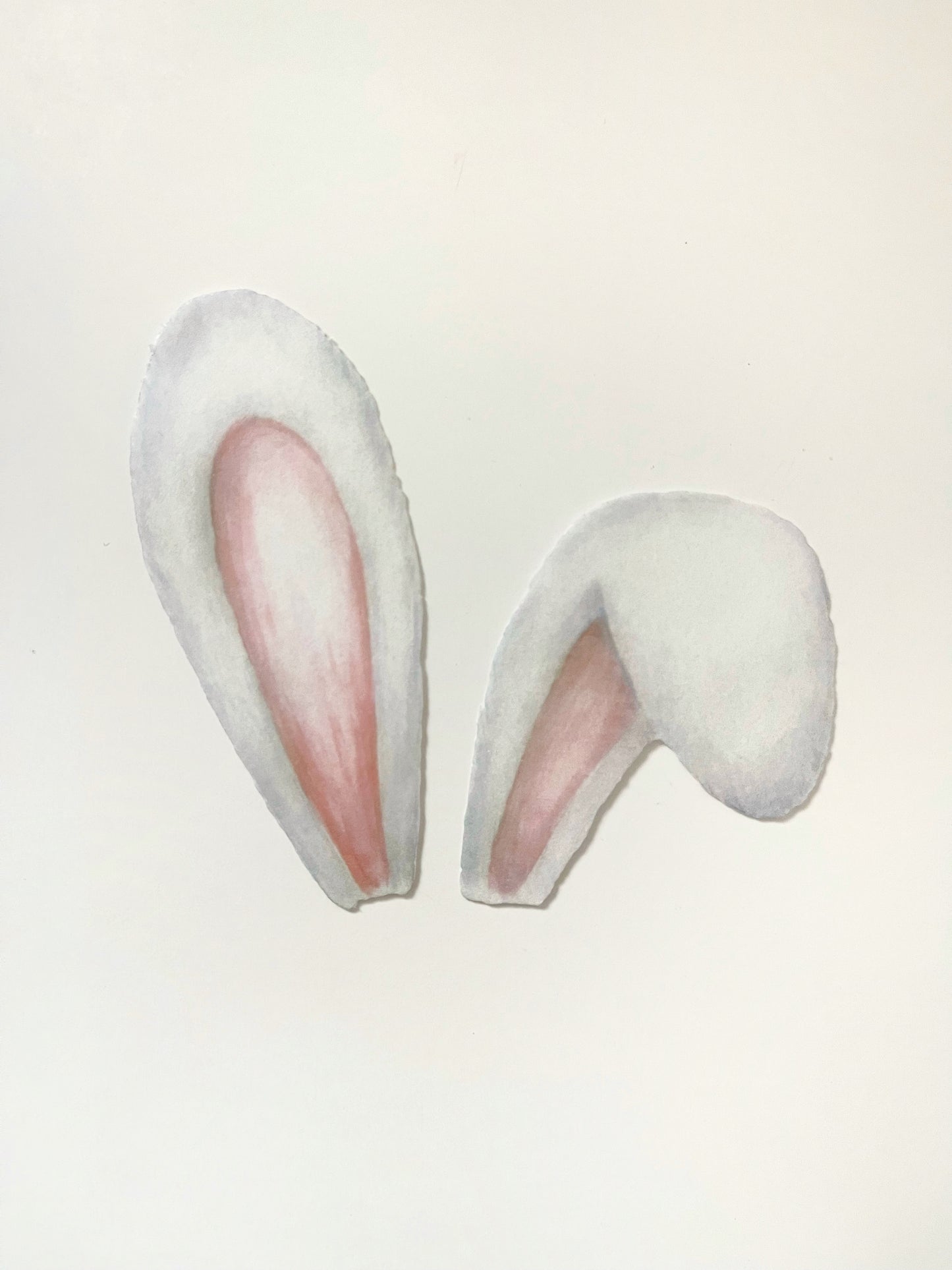 Orejas de conejo • lámina pequeña