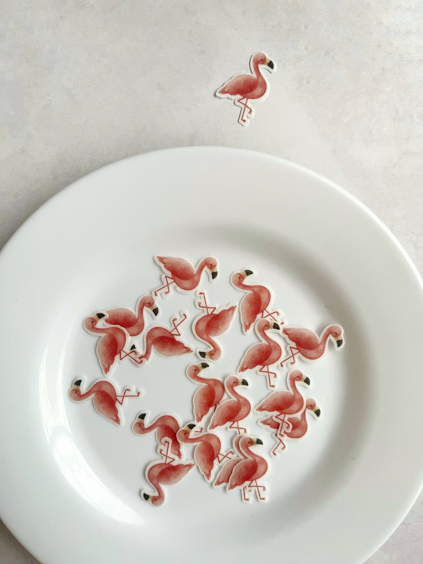 Flamingos • 24u