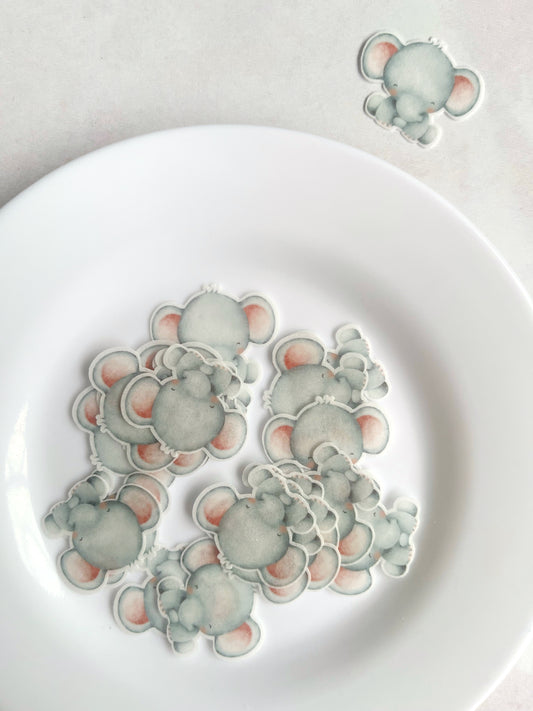 Elefante bebé • 15u