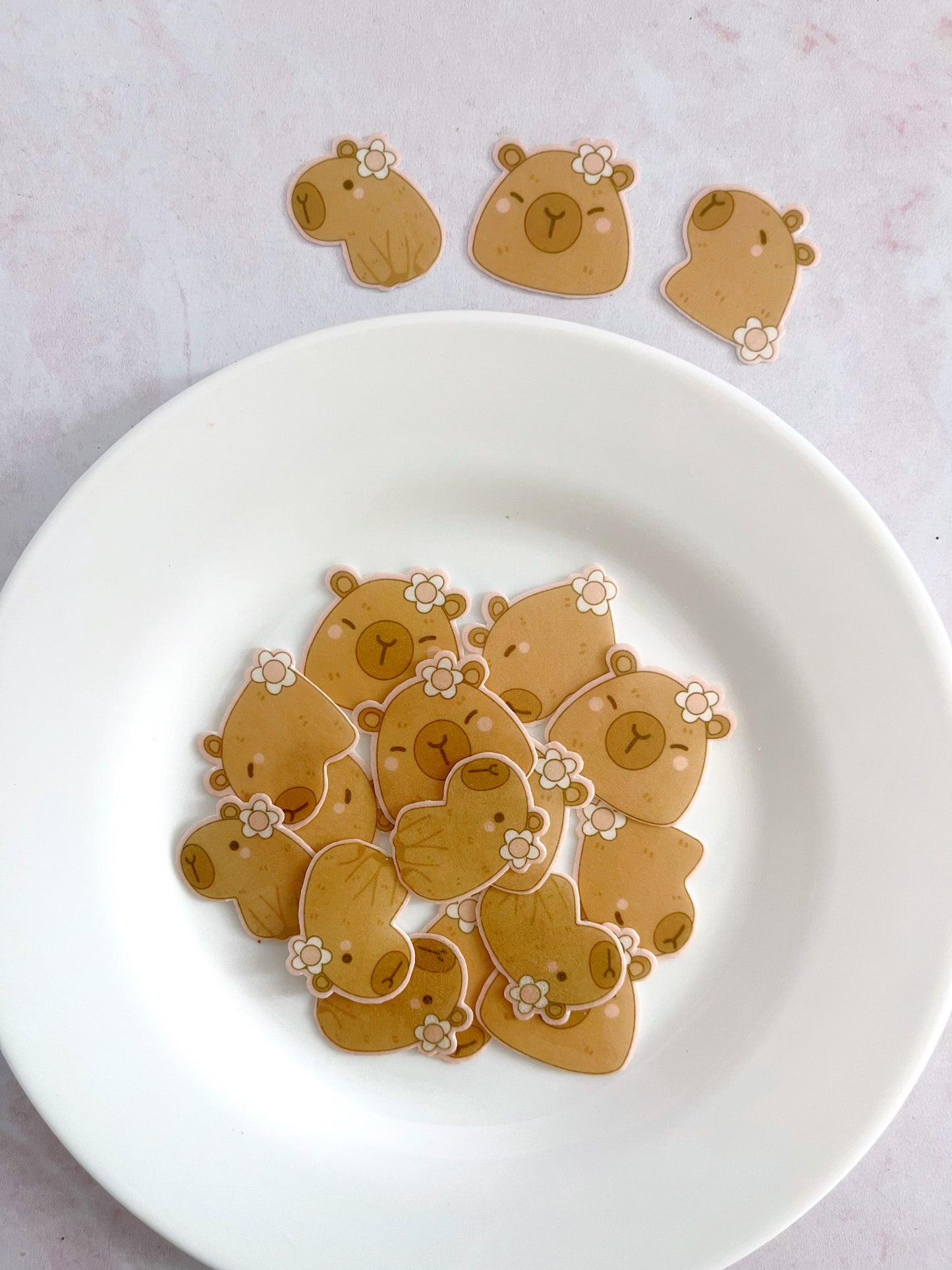 Capybara con flor • 18u