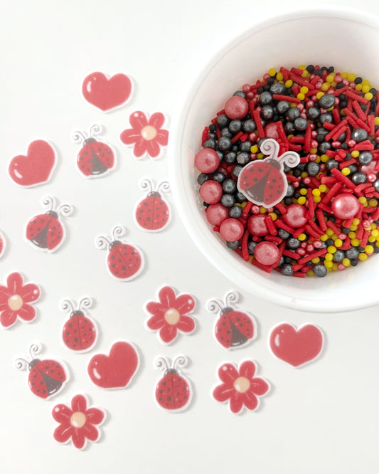 Ladybug • 50gr