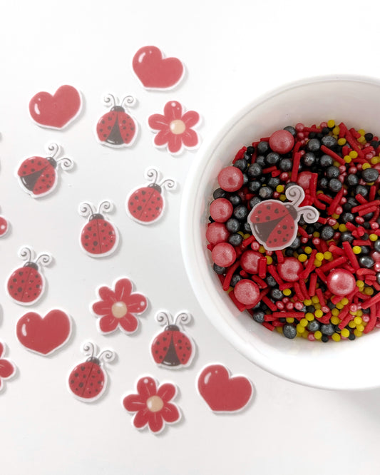 Ladybug • 50gr