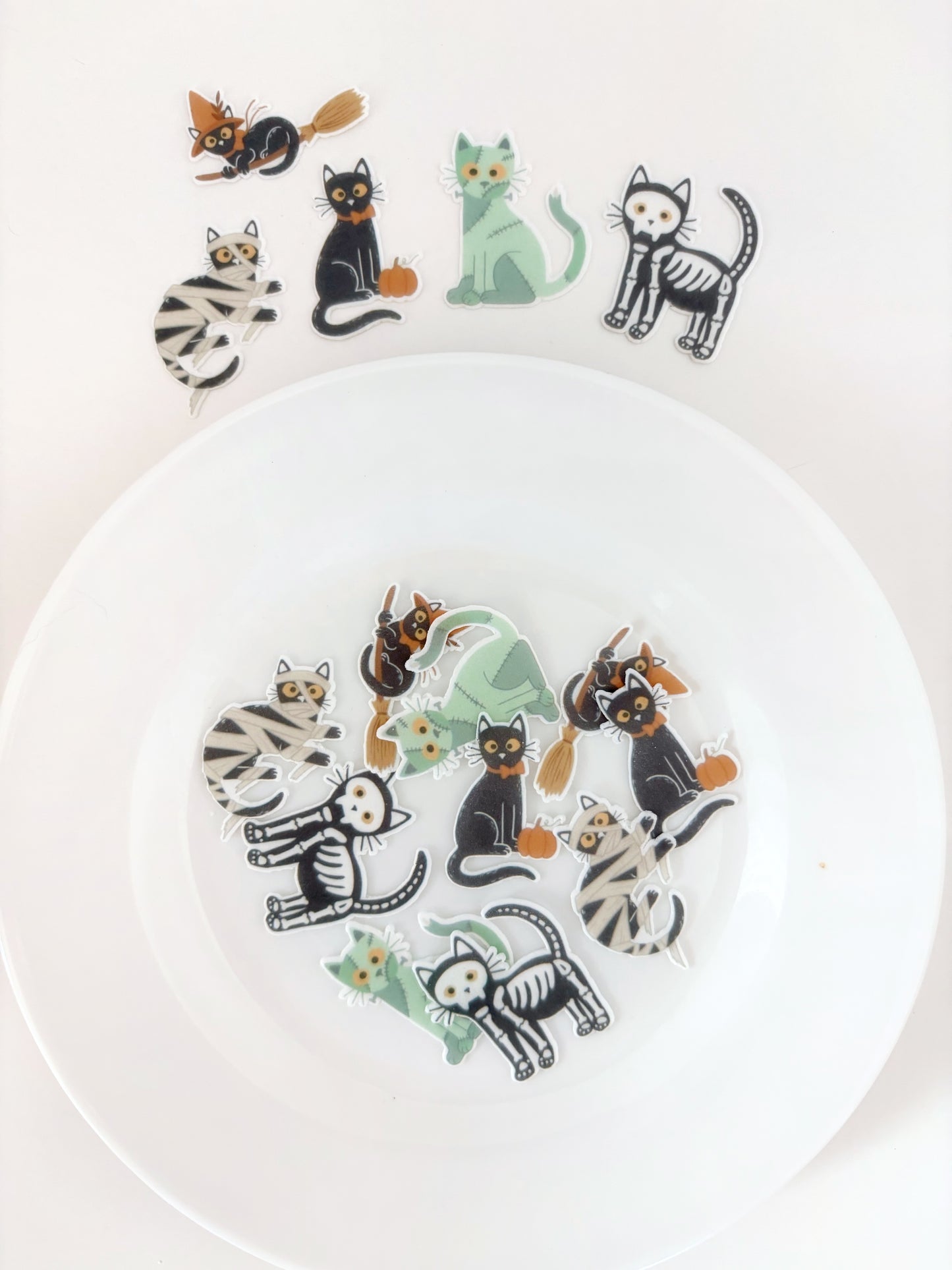 Spooky Cats • 15u