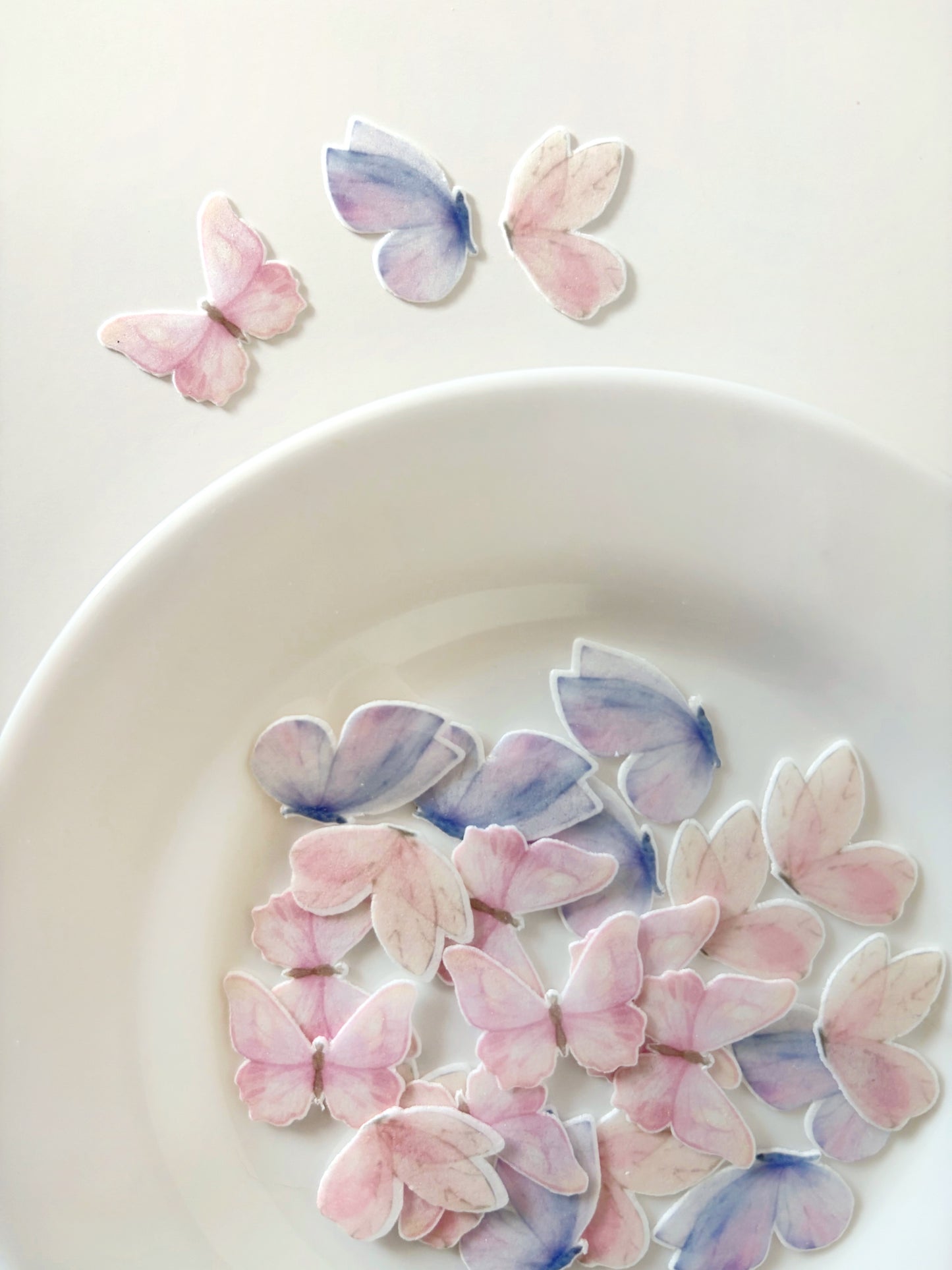 Maripositas lila y rosa • 24u