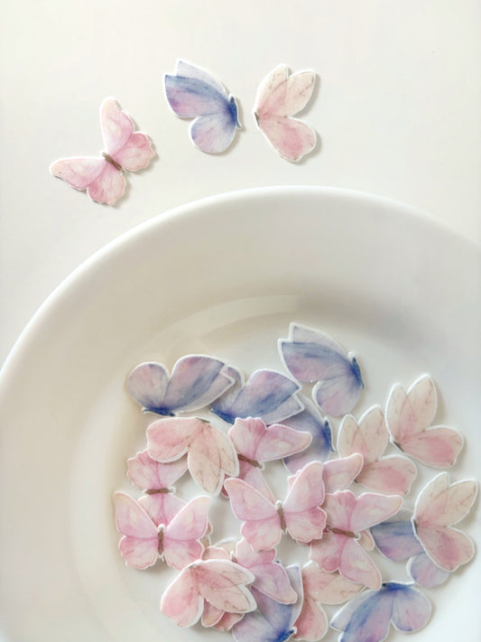 Maripositas lila y rosa • 24u