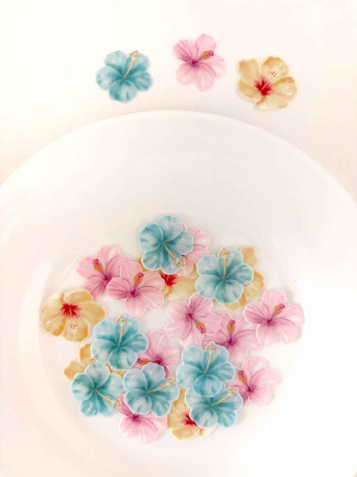 Hibisco • 24u