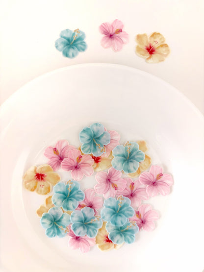 Hibisco • 24u