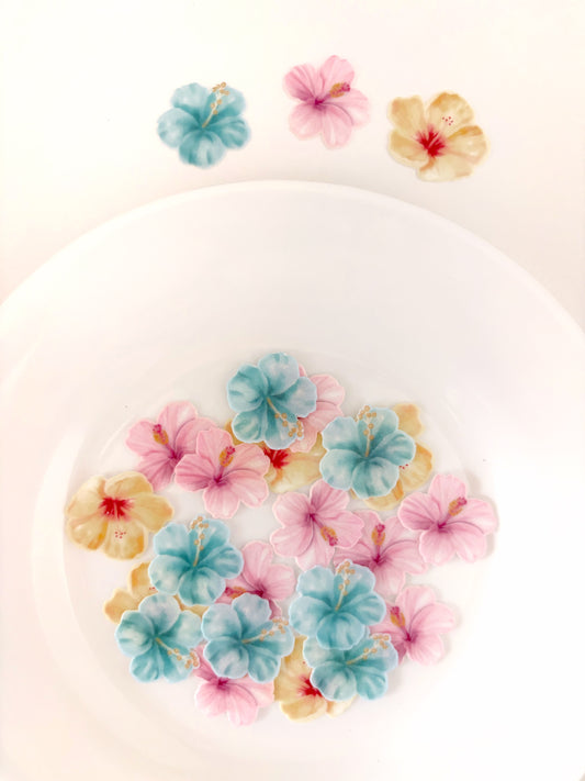 Hibisco • 24u